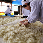 昔ながらの技法で夏は３カ月、冬は半年をかけて天然熟成させる老舗の味噌蔵。米、麦、合わせ、特上の４種のみそが醸造されます。
