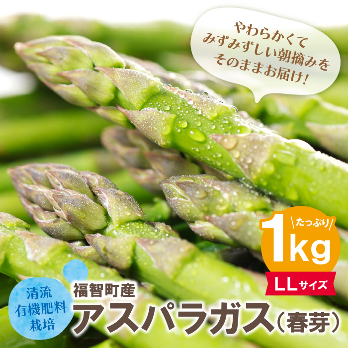 清流・有機肥料栽培 アスパラガス(春芽) 1kg(LL)
