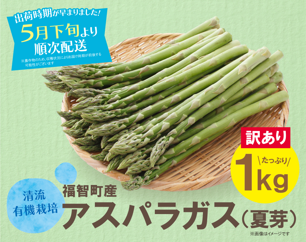 【訳あり】清流・有機肥料使用 アスパラガス(夏芽) 1kg