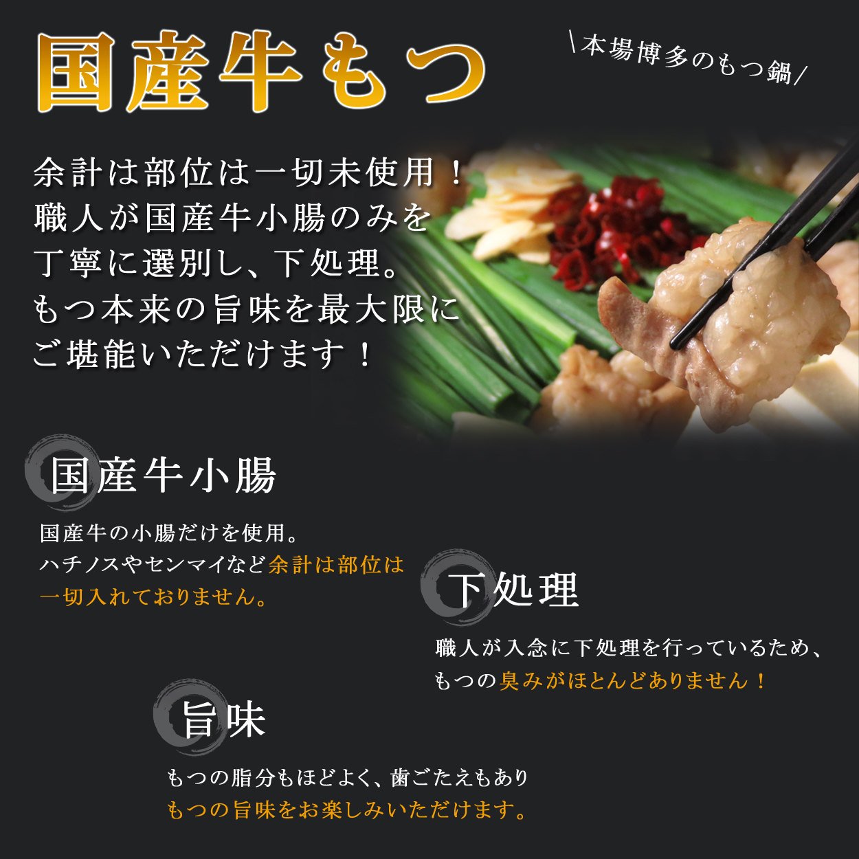 【訳あり】トメ子精肉店 もつ鍋4種 各2～3人前 食べ比べ