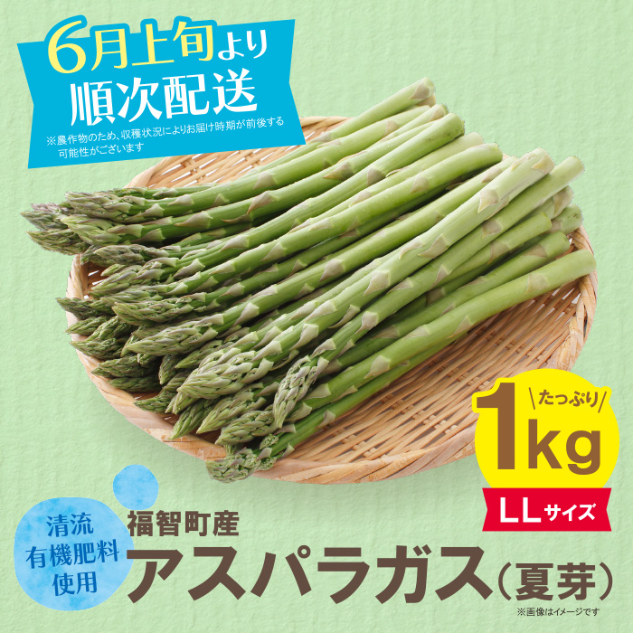 清流・有機肥料使用 アスパラガス(夏芽) 1kg(LL)