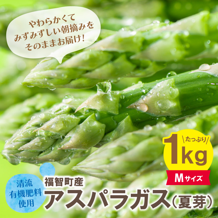 清流・有機肥料使用 アスパラガス(夏芽) 1kg(M)