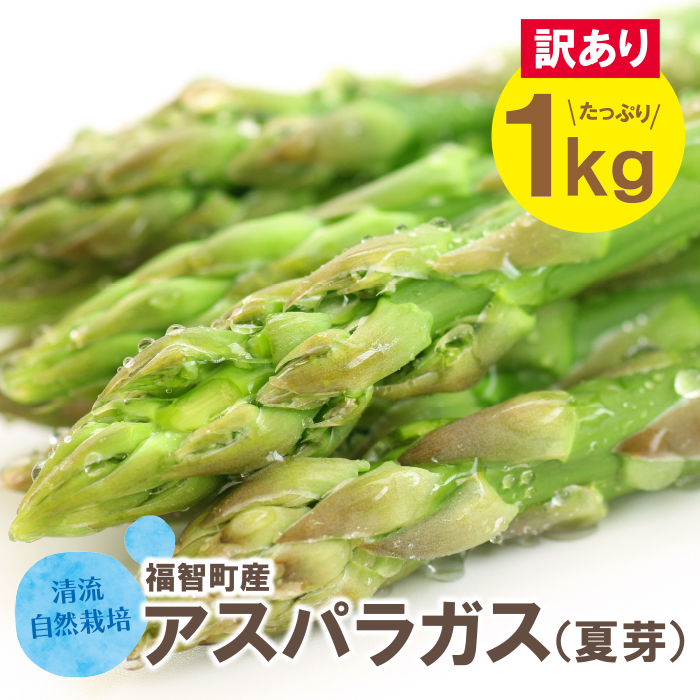 【訳あり】清流・自然栽培 アスパラガス(夏芽) 1kg
