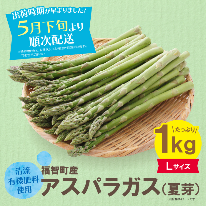 清流・有機肥料使用 アスパラガス(夏芽) 1kg(L)