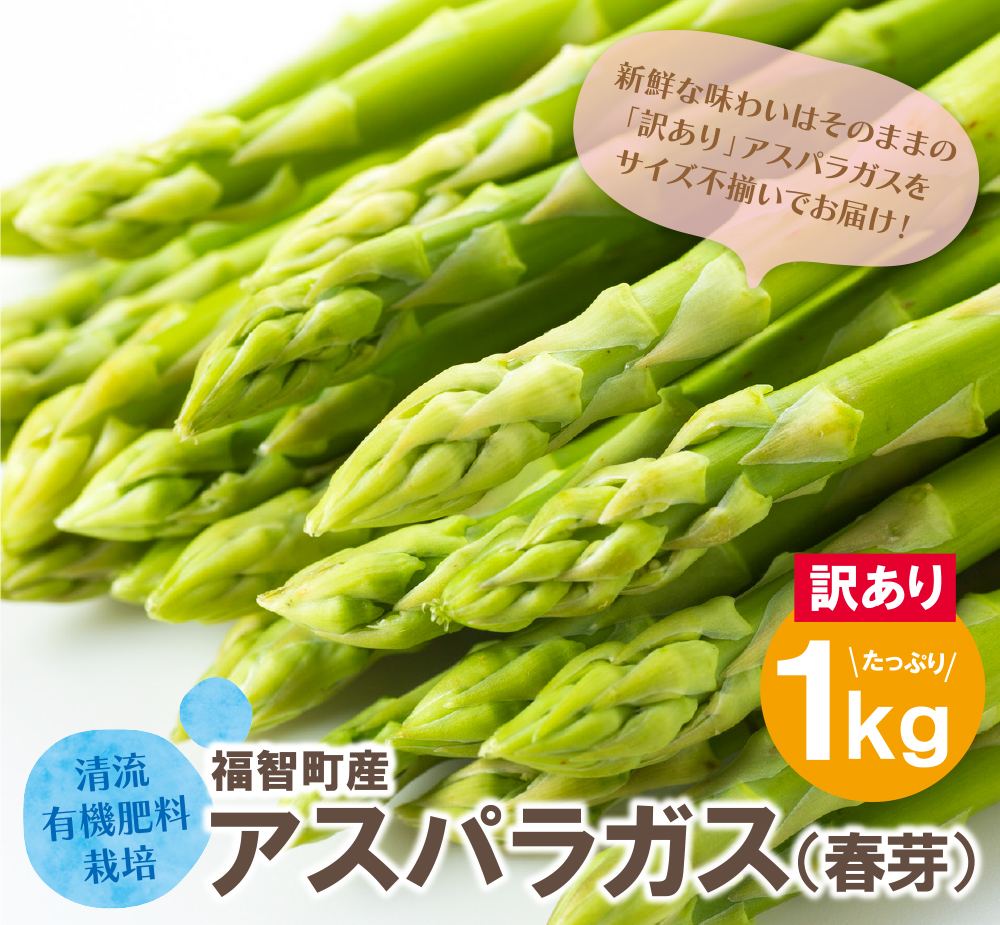 【訳あり】清流・自然栽培 アスパラガス(春芽) 1kg