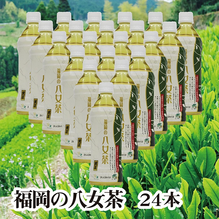 福岡の八女茶 煎茶ペットボトル(24本)